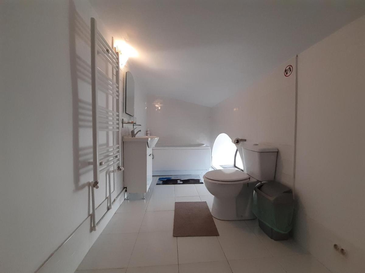 Copou Holding House Apartment Iasi Exterior photo