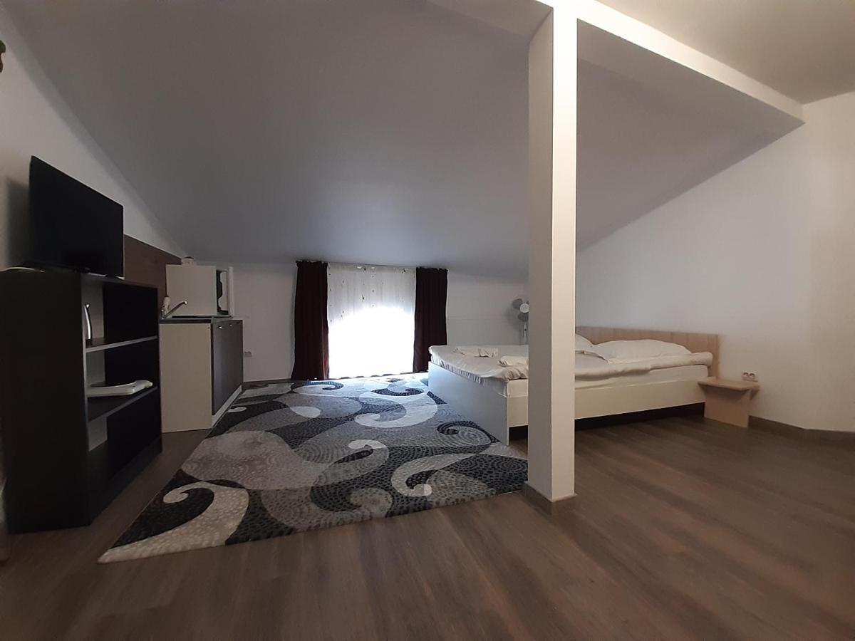 Copou Holding House Apartment Iasi Exterior photo